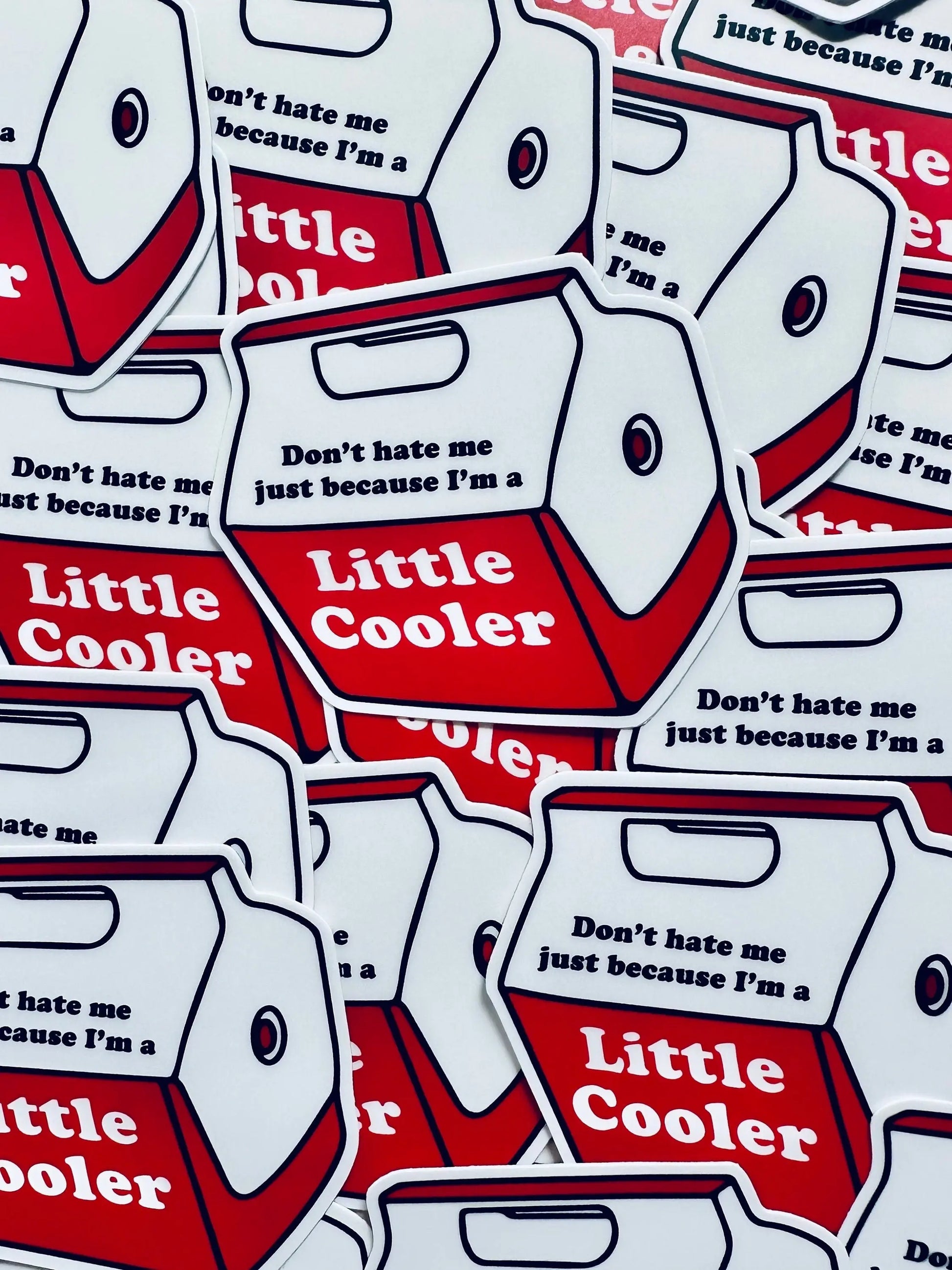 Don't Hate me Just Because I'm a Little Cooler Sticker, Red Cooler Humor, Trendy Sticker for Kindle, Laptop, Weatherproof, Permanent Sticker maedaymaedaymaeday
