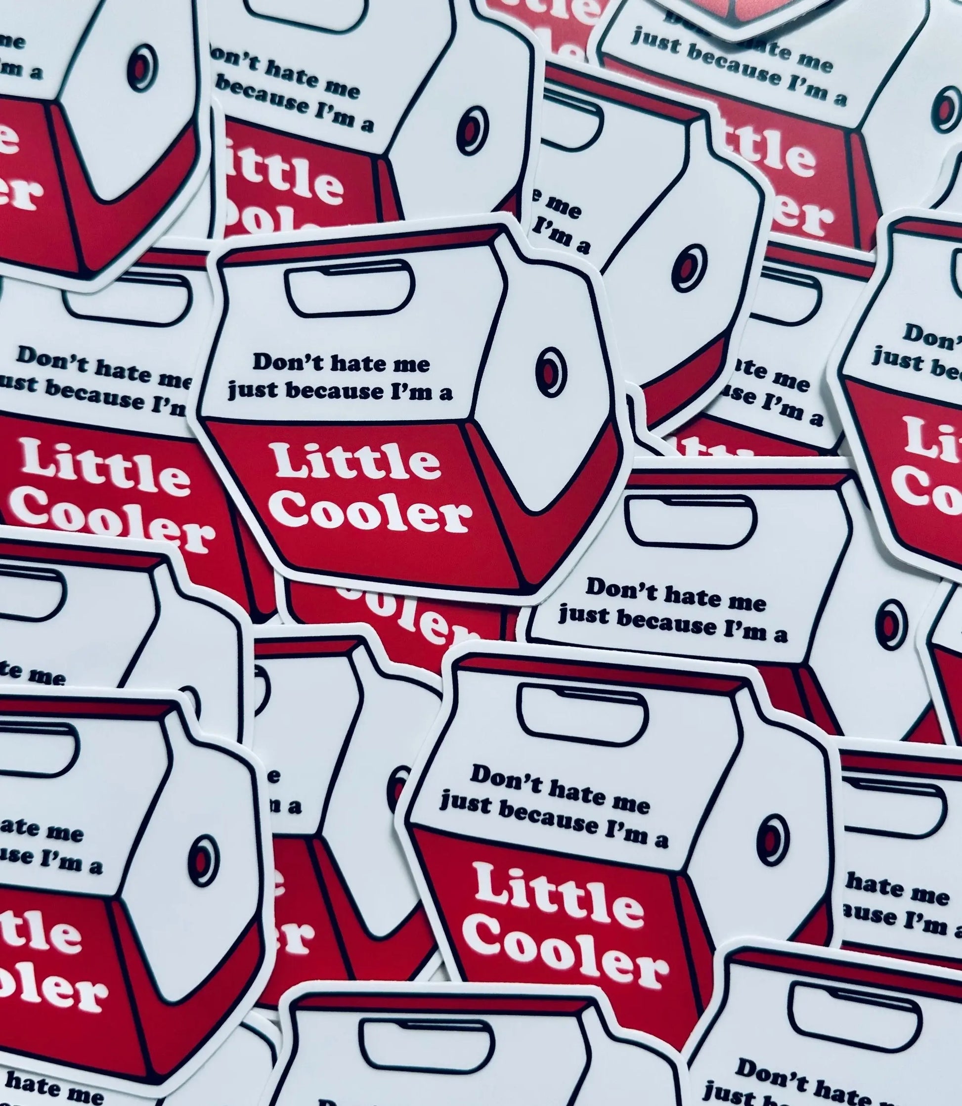 Don't Hate me Just Because I'm a Little Cooler Sticker, Red Cooler Humor, Trendy Sticker for Kindle, Laptop, Weatherproof, Permanent Sticker maedaymaedaymaeday